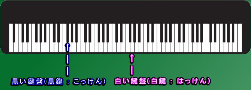 ピアノの黒鍵と白鍵
